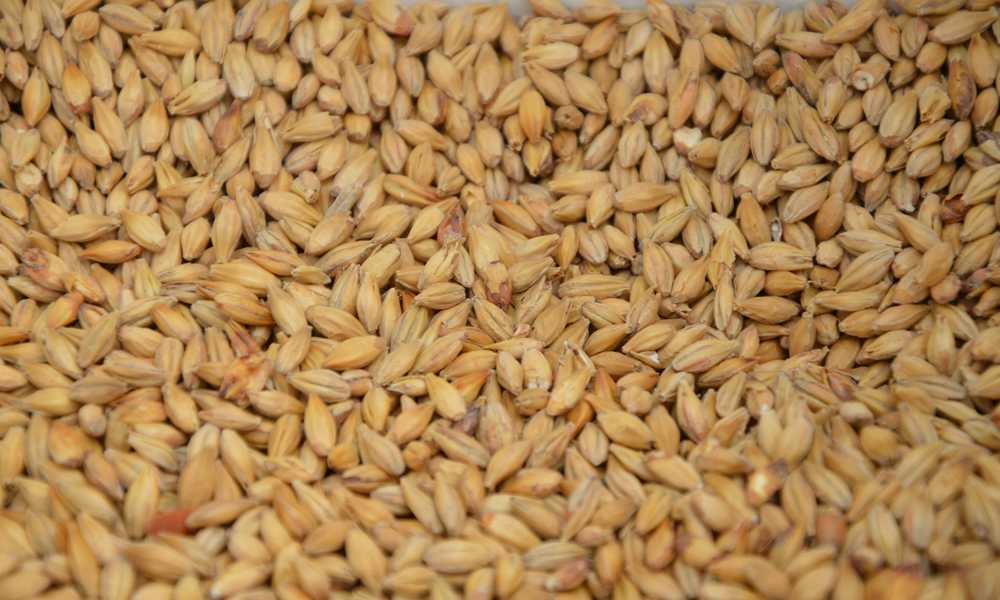 Starter DME Calculator